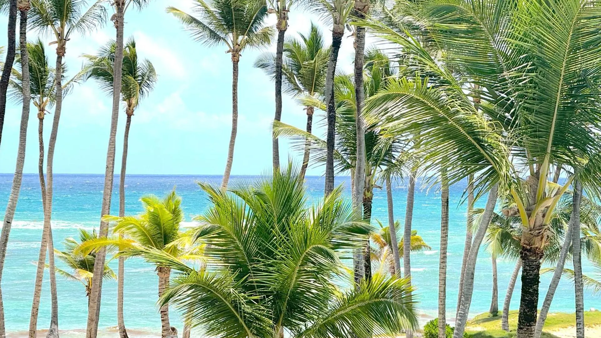 Beach Front Apartments By Playa Palmera Punta Cana 0*,  Dominican Republic