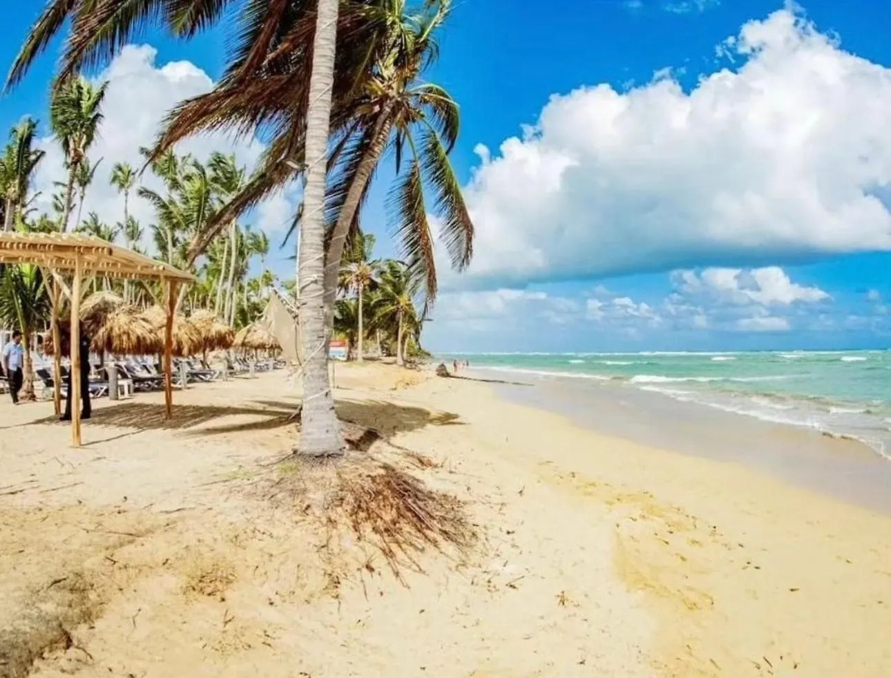Beach Front Apartments By Playa Palmera Punta Cana 0*,  Dominican Republic