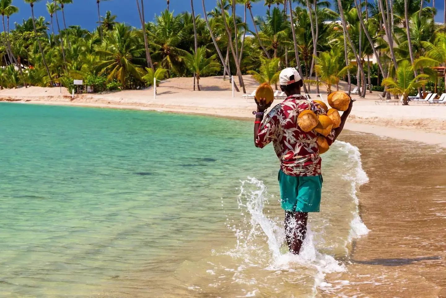 Beach Front Apartments By Playa Palmera Punta Cana